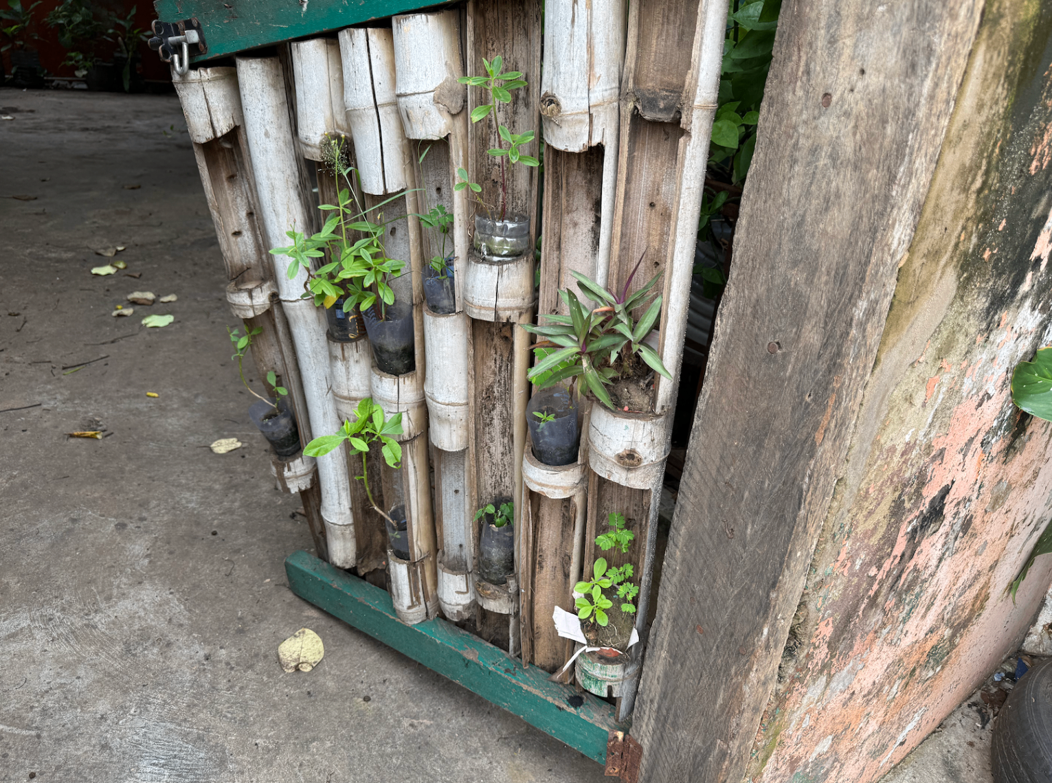 Vertical bamboo garden with plants growing from recycled bottle planters