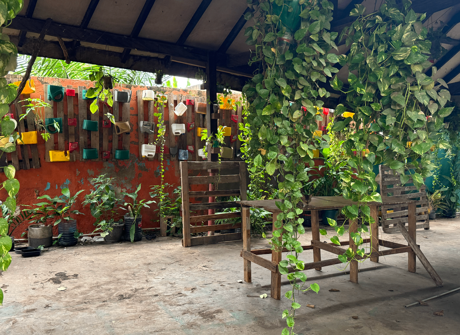 Community garden built from upcycled plastic containers hanging on a wall